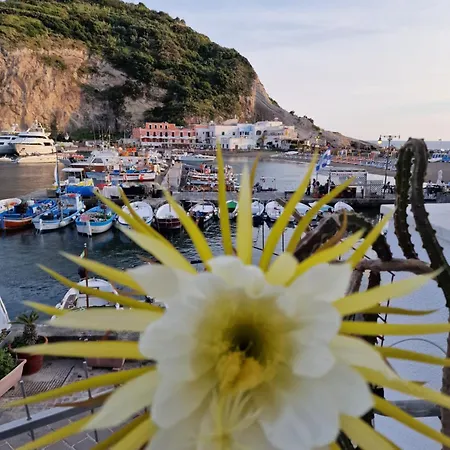 Casa Dei Nonni Sant'Angelo (Isola d'Ischia)