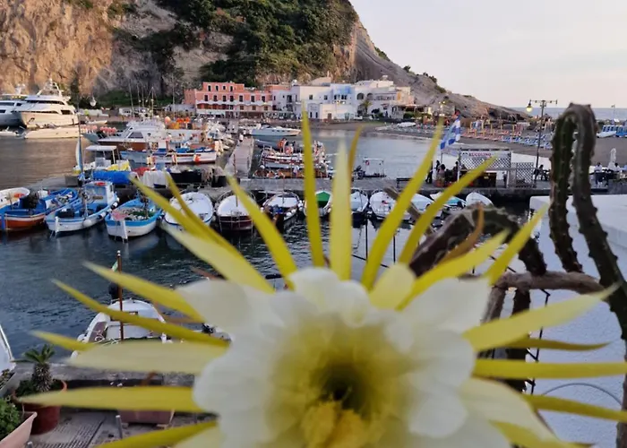 Casa Dei Nonni Sant'Angelo (Isola d'Ischia)
